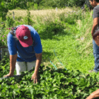 Growing season starts for one of the oldest Native gardening projects in the country