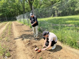 Two individuals planting crops in a community garden, part of Noah Proctor’s 2023 Dreamstarter project supporting food sovereignty for Native communities.