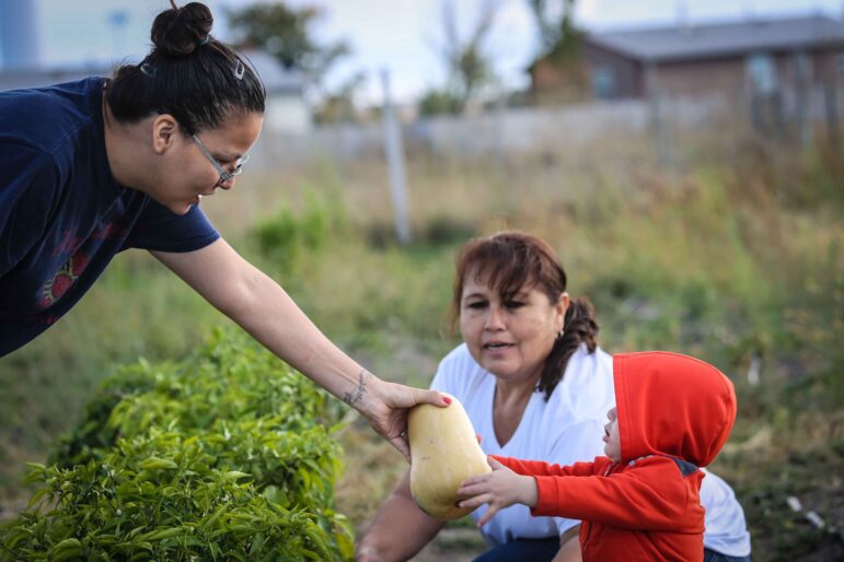 Native American women harvesting fresh greens from a community garden