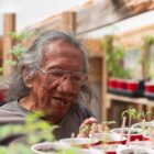 Native elder caring for vegetable seedlings inside the Slim Buttes Agricultural Development Program greenhouse on the Pine Ridge Indian Reservation.