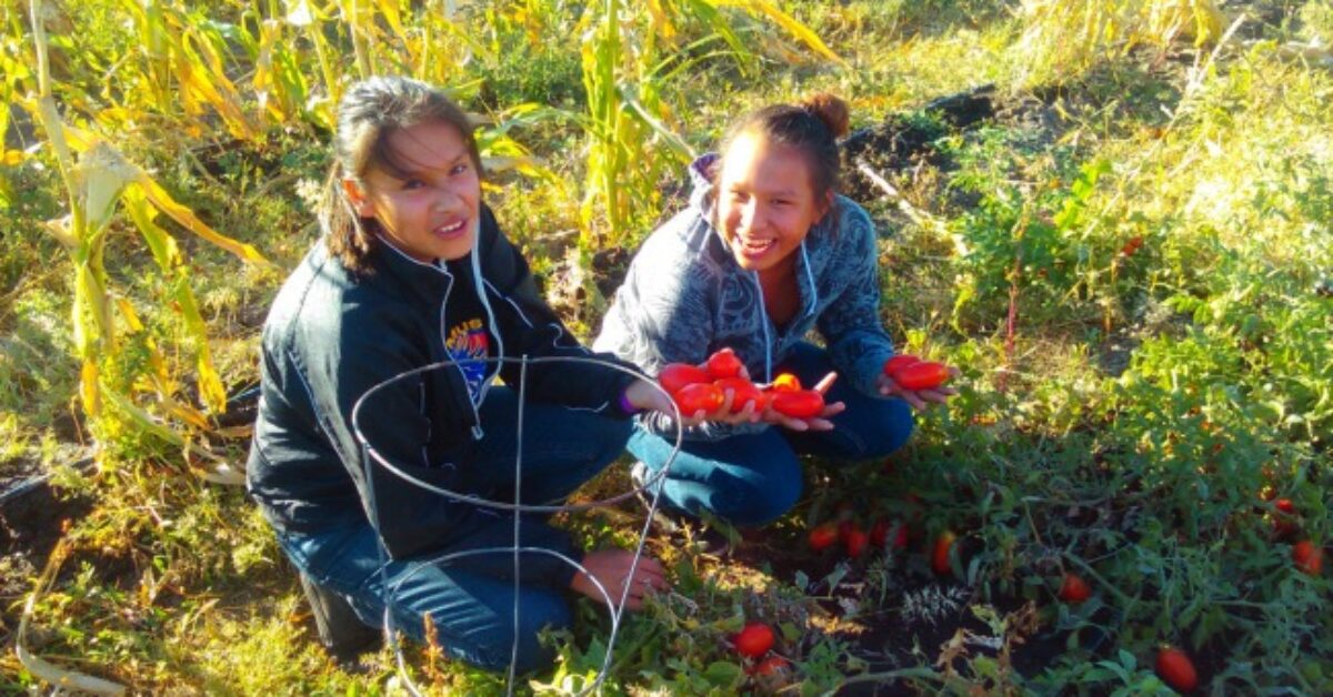 Girls_with_Roma_Tomatoes_smaller