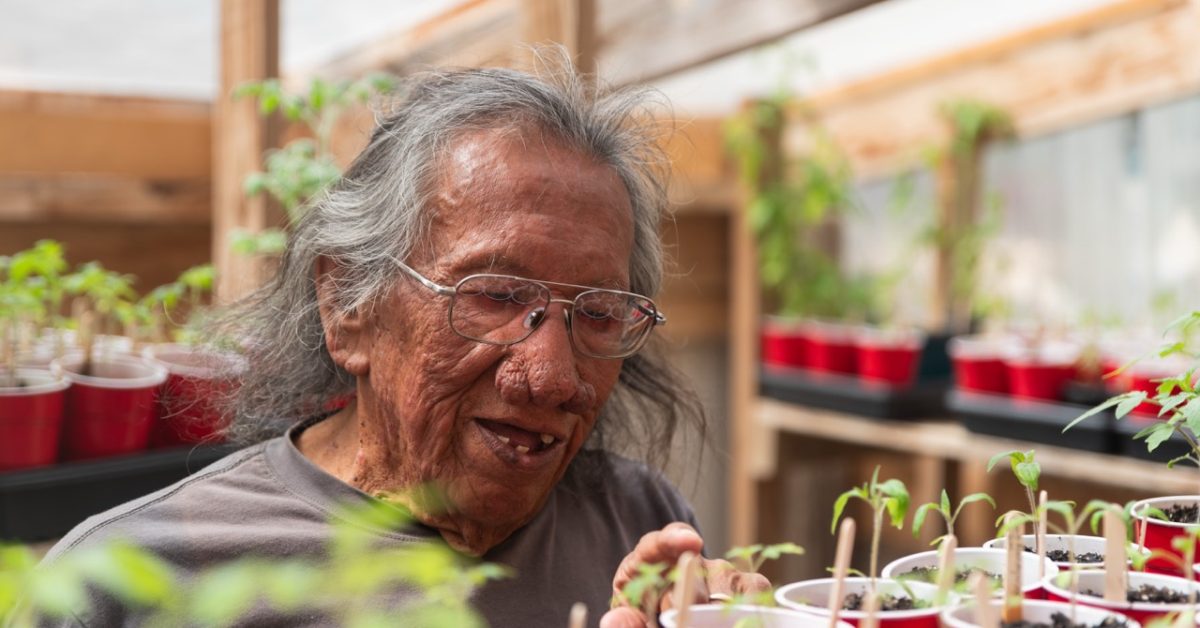 Native elder caring for vegetable seedlings inside the Slim Buttes Agricultural Development Program greenhouse on the Pine Ridge Indian Reservation.